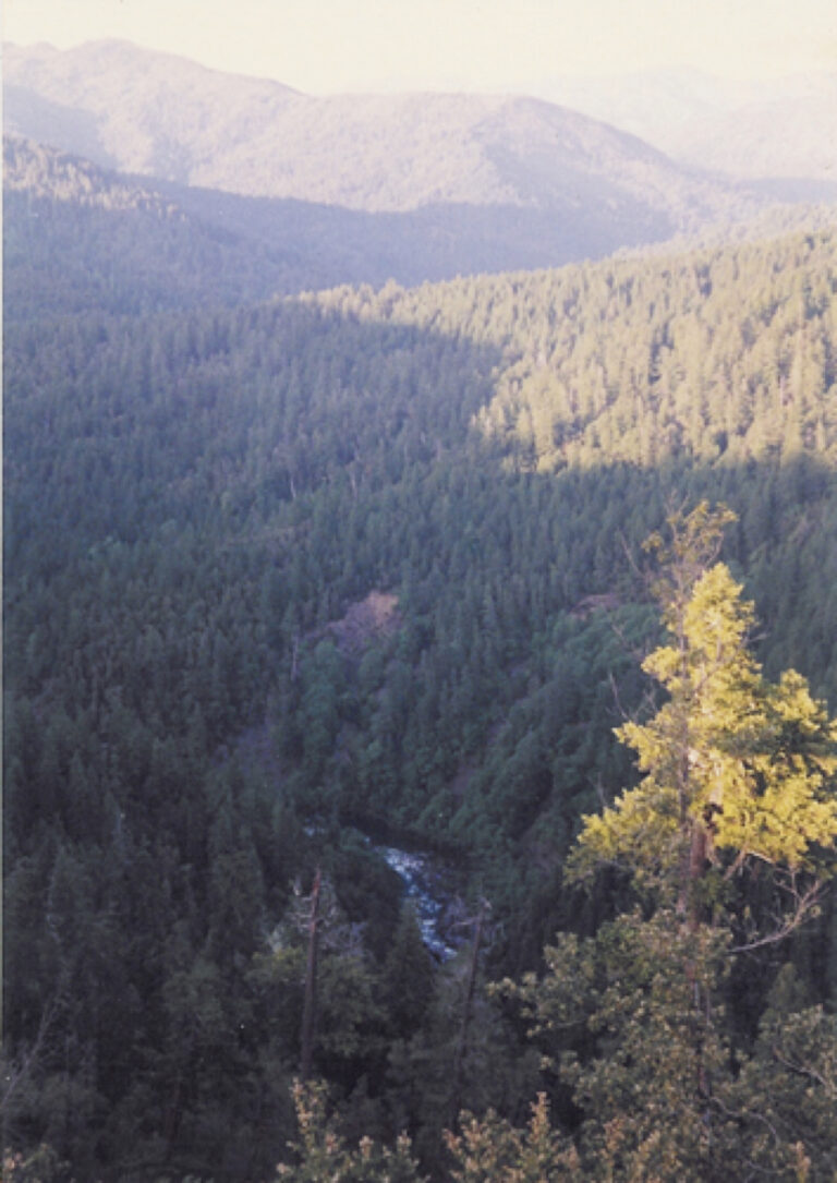 Northern California circa 1990